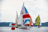 salamander xxii 3361c whyw19 tue gjmc 4225
